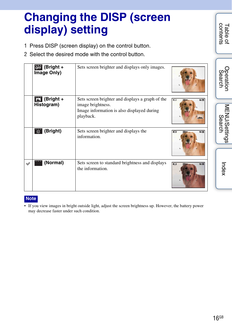 Changing the disp (screen display) setting | Sony DSC-W290 User Manual | Page 16 / 145