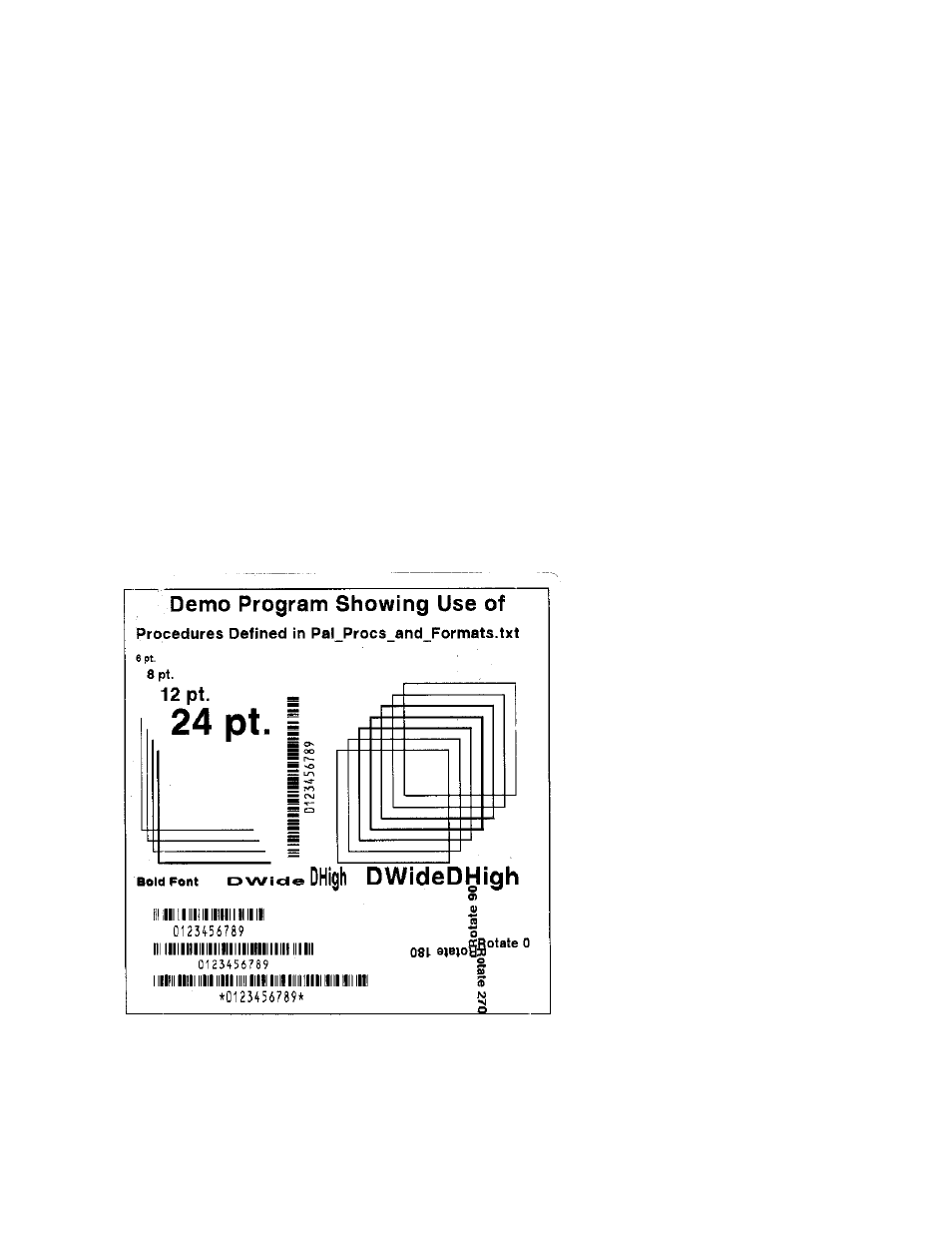 Demo label showing use of print utility procedures | AMT Datasouth 4000 User Manual | Page 55 / 79