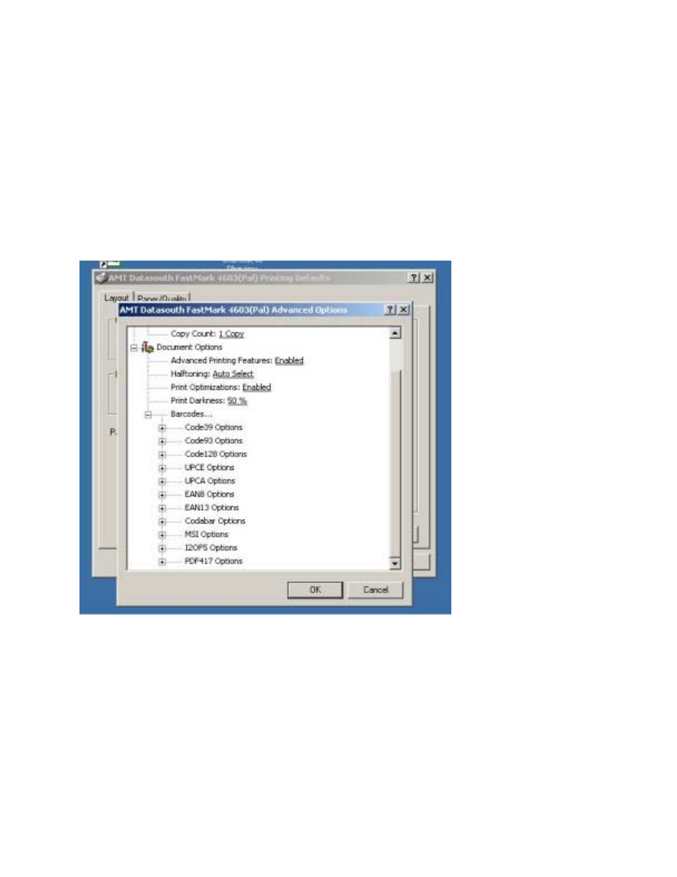 Adjusting the windows driver bar codes | AMT Datasouth 4000 User Manual | Page 62 / 79