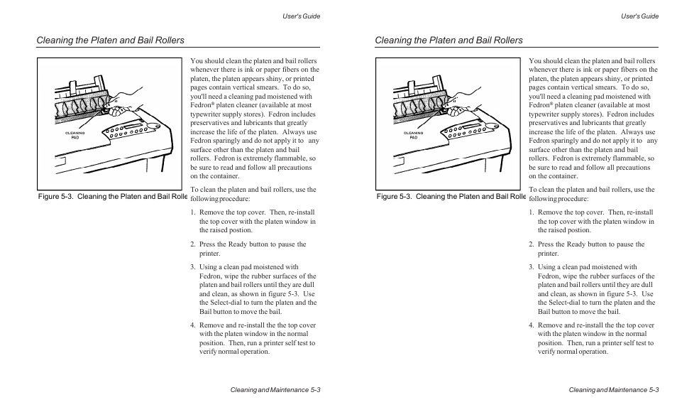 Cleaning the platen and bail rollers | AMT Datasouth ACCEL-6300 User Manual | Page 110 / 257