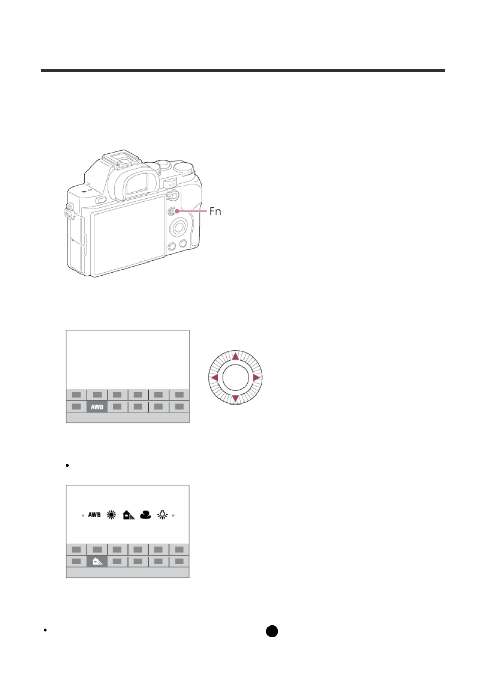 Using the fn (function) button | Sony ILCE-7S User Manual | Page 47 / 248