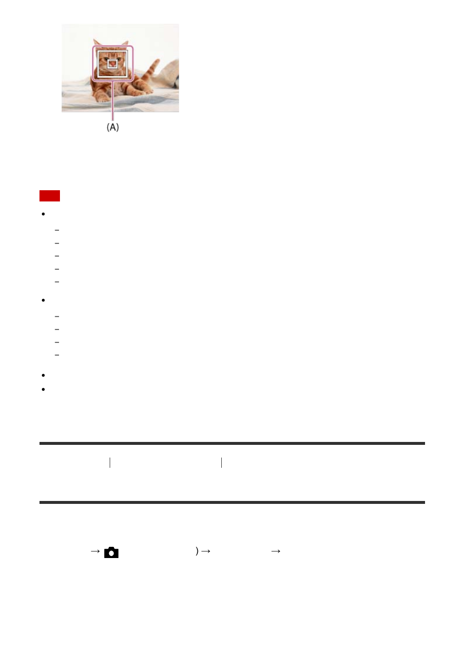 Focus-lock [65, Focus-lock | Sony ILCE-7S User Manual | Page 81 / 248