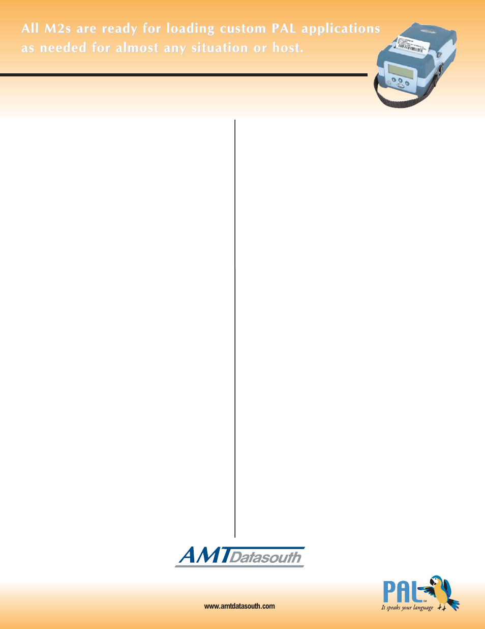 AMT Datasouth M2 Series User Manual | Page 2 / 2
