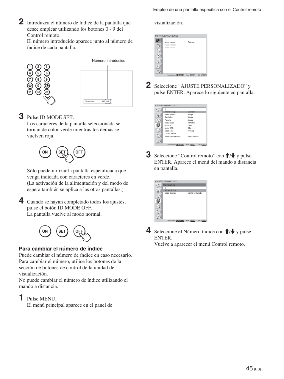 Visualización | Sony FWD-50PX2 User Manual | Page 243 / 352