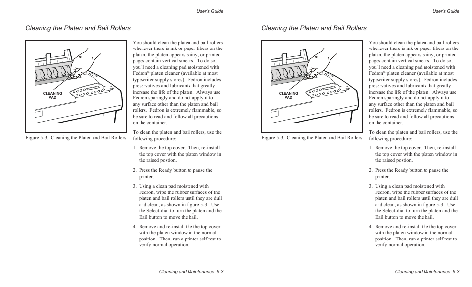 Cleaning the platen and bail rollers | AMT Datasouth AMTACCEL-5350 User Manual | Page 109 / 255