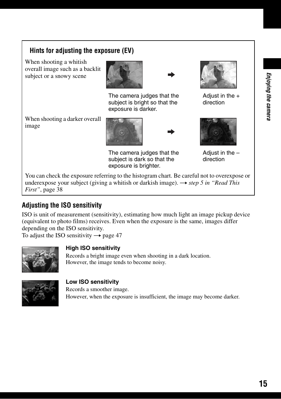 Sony DSC-H2 User Manual | Page 15 / 123