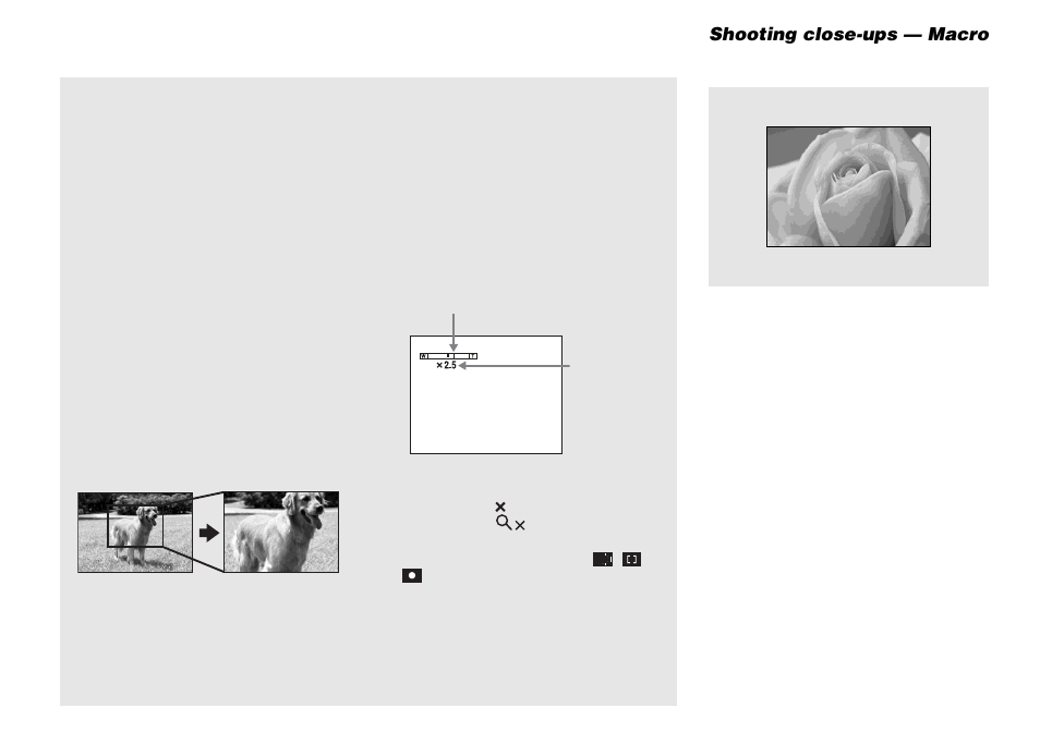 Shooting close-ups — macro | Sony DSC-M1 User Manual | Page 36 / 132