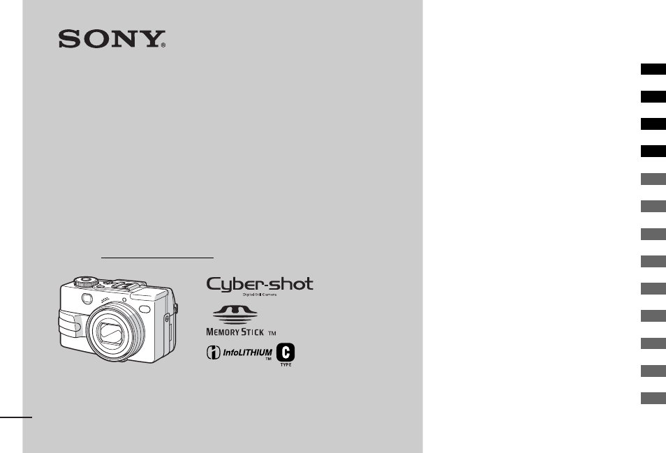 Sony DSC-V1 User Manual | 132 pages