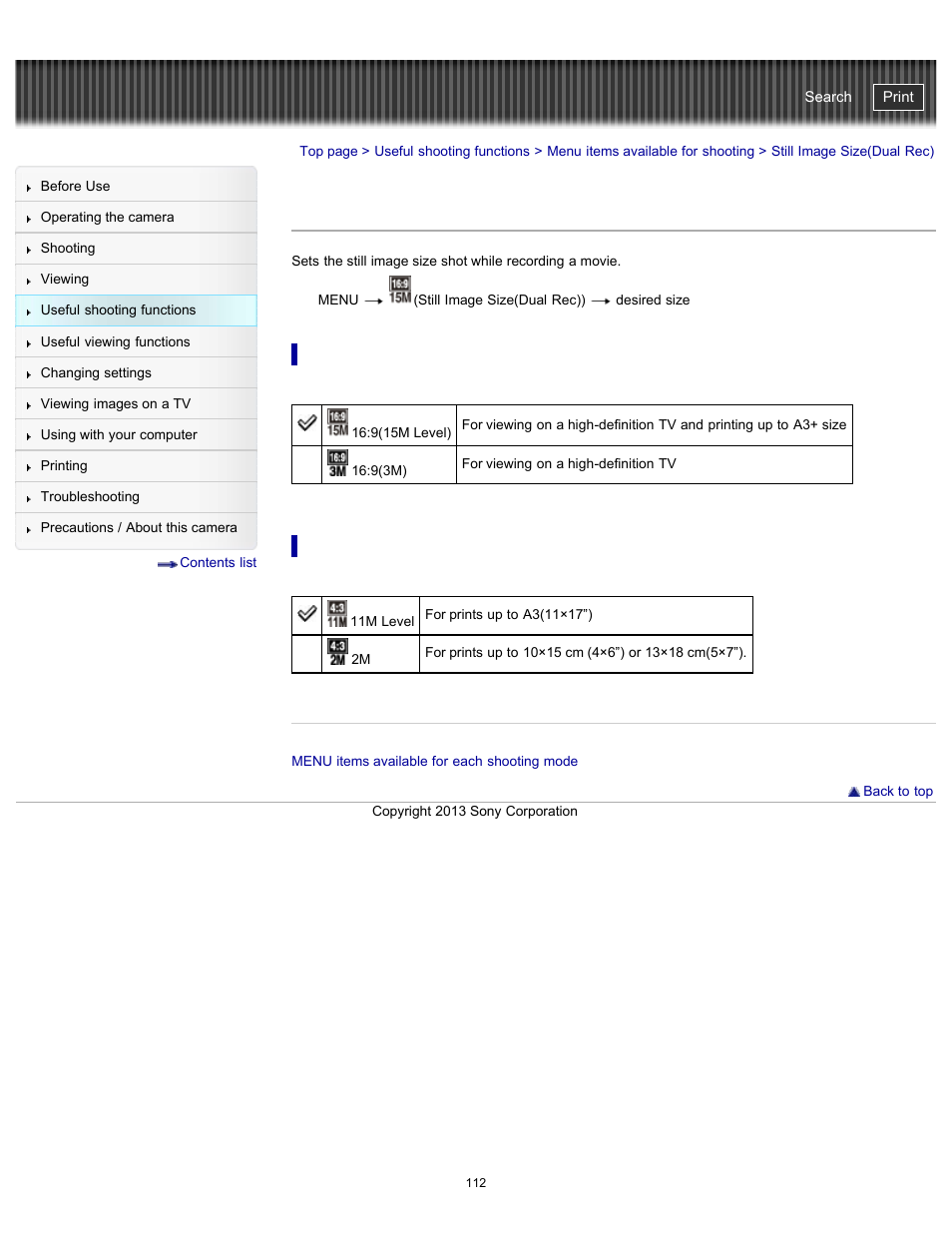 Still image size(dual rec), Details, Cyber-shot user guide | Sony DSC-HX300 User Manual | Page 119 / 252