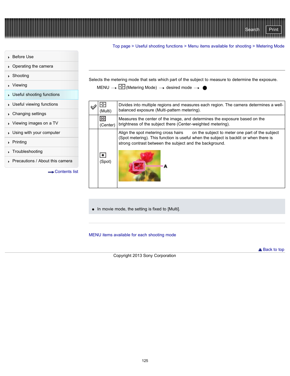 Metering mode, Cyber-shot user guide | Sony DSC-HX300 User Manual | Page 132 / 252