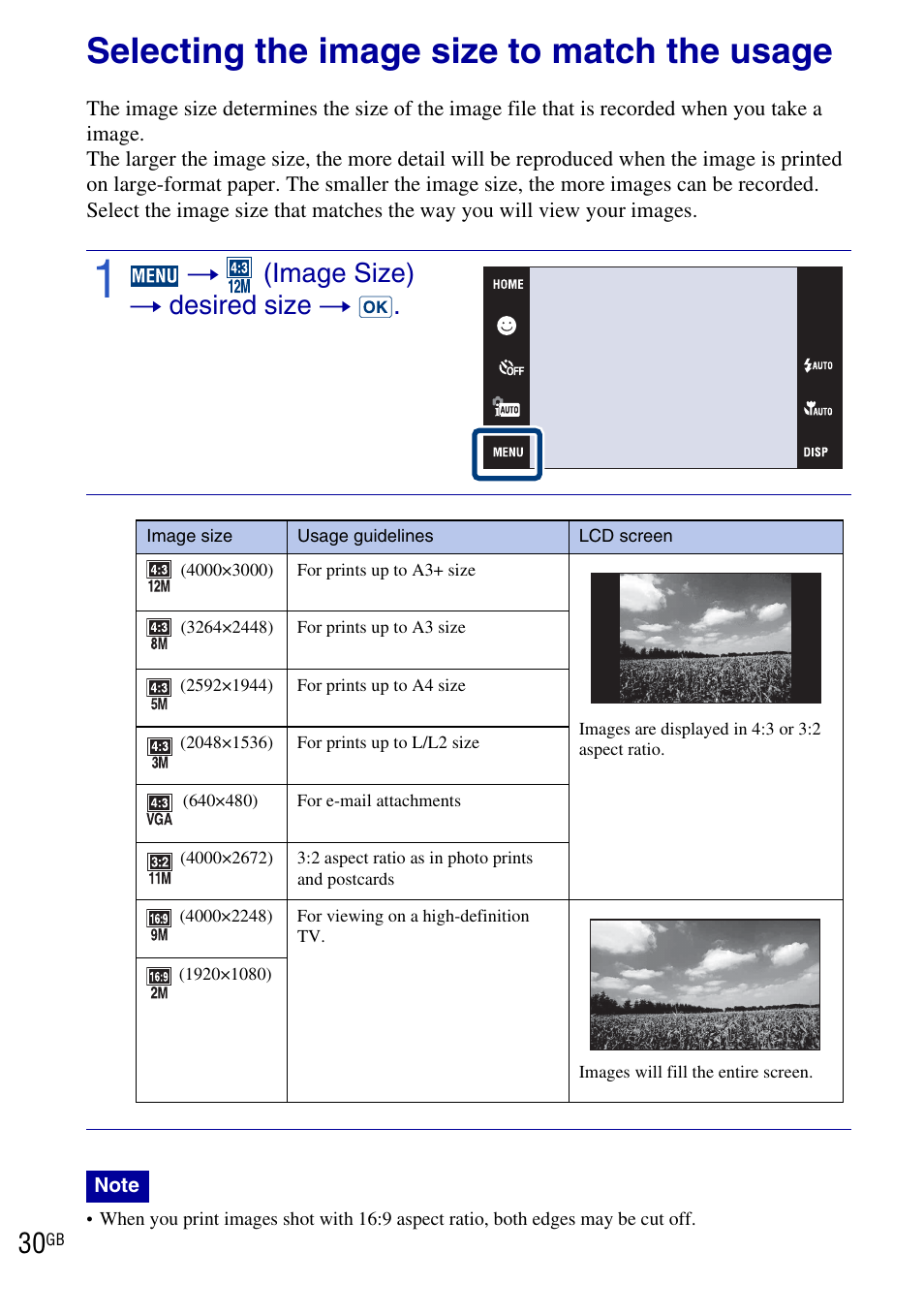 Selecting the image size to match the usage, T (image size) t desired size t | Sony DSC-T900 User Manual | Page 30 / 124