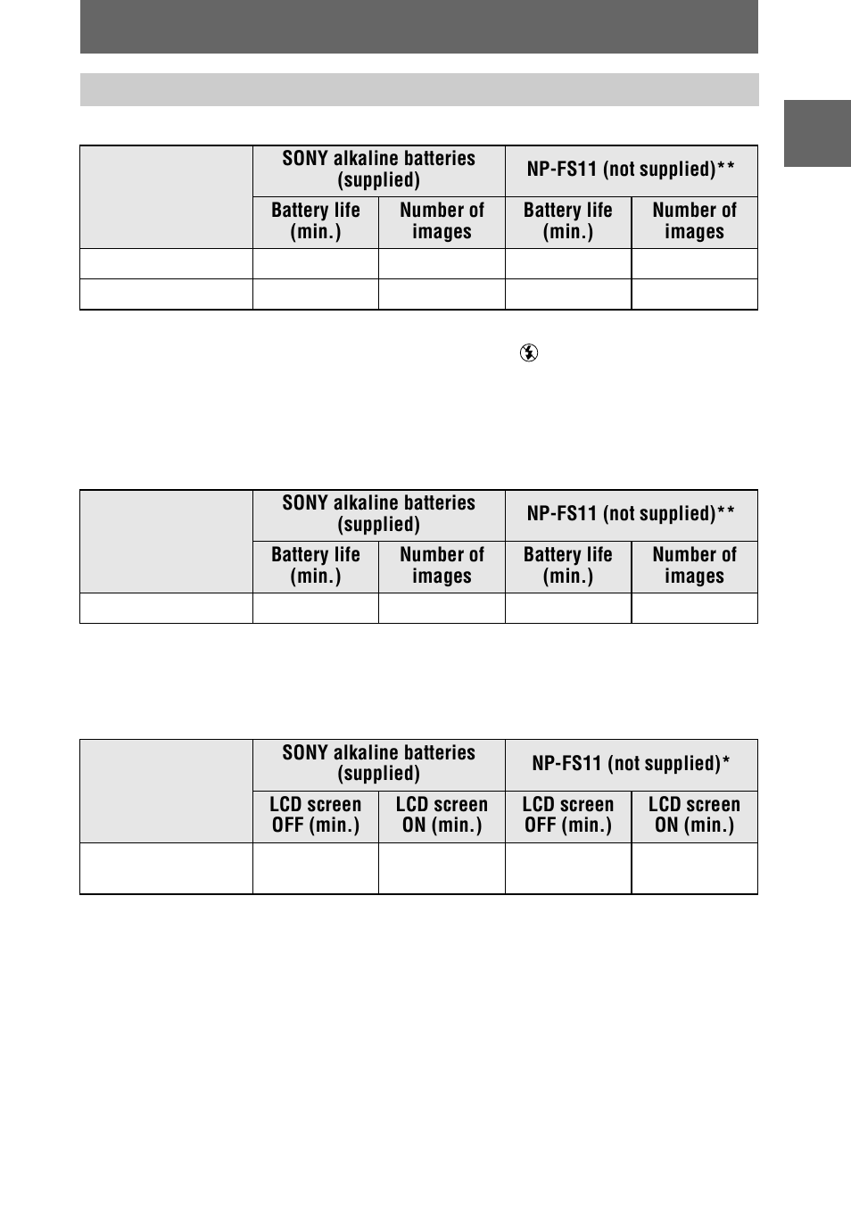 Sony DSC-P20 User Manual | Page 13 / 88