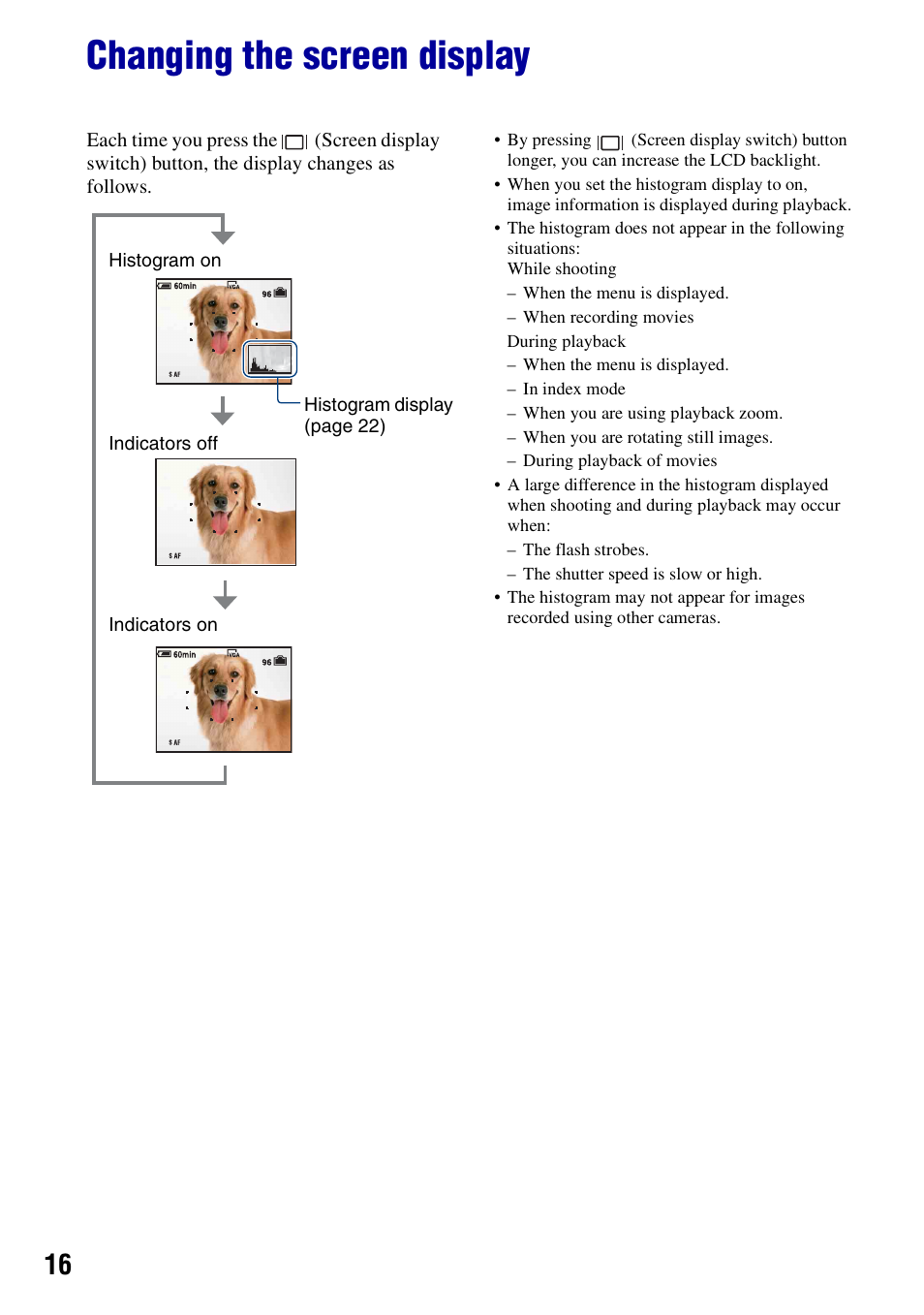 Changing the screen display | Sony DSC-T10 User Manual | Page 16 / 116