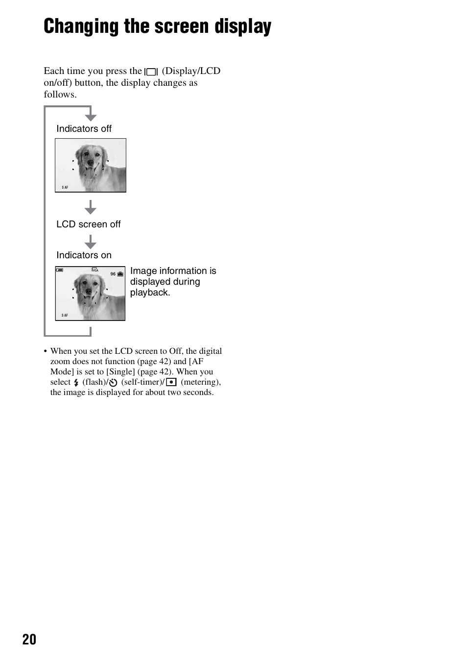 Changing the screen display | Sony DSC-S40 User Manual | Page 20 / 91