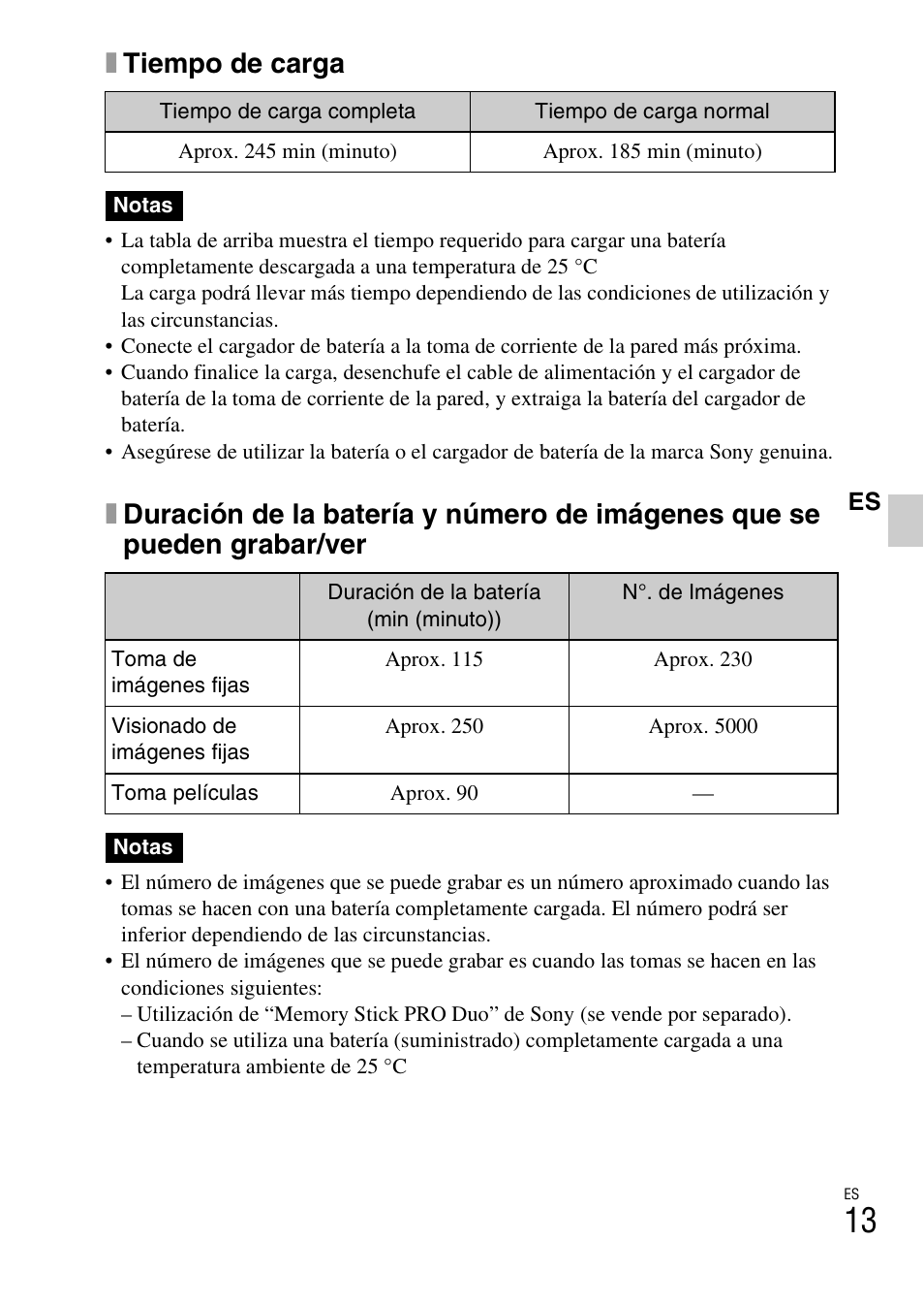Xtiempo de carga | Sony DSC-T99 User Manual | Page 43 / 64