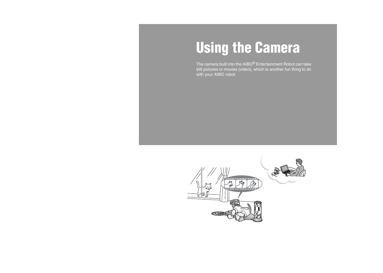 Using the camera | Sony ERS-7M2 User Manual | Page 29 / 81