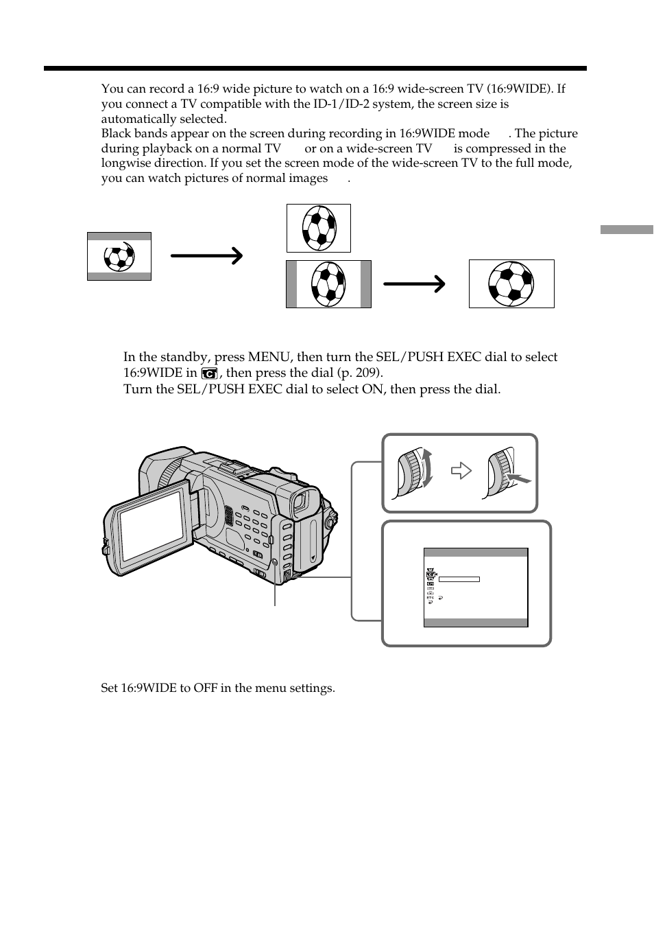 Using the wide mode | Sony DCR-TRV950 User Manual | Page 53 / 256