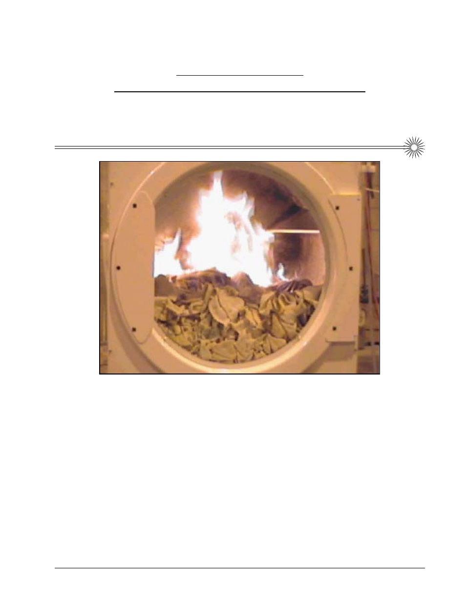 S.a.f.e. system in action | American Dryer Corp. AD-24 Phase 7 User Manual | Page 43 / 50