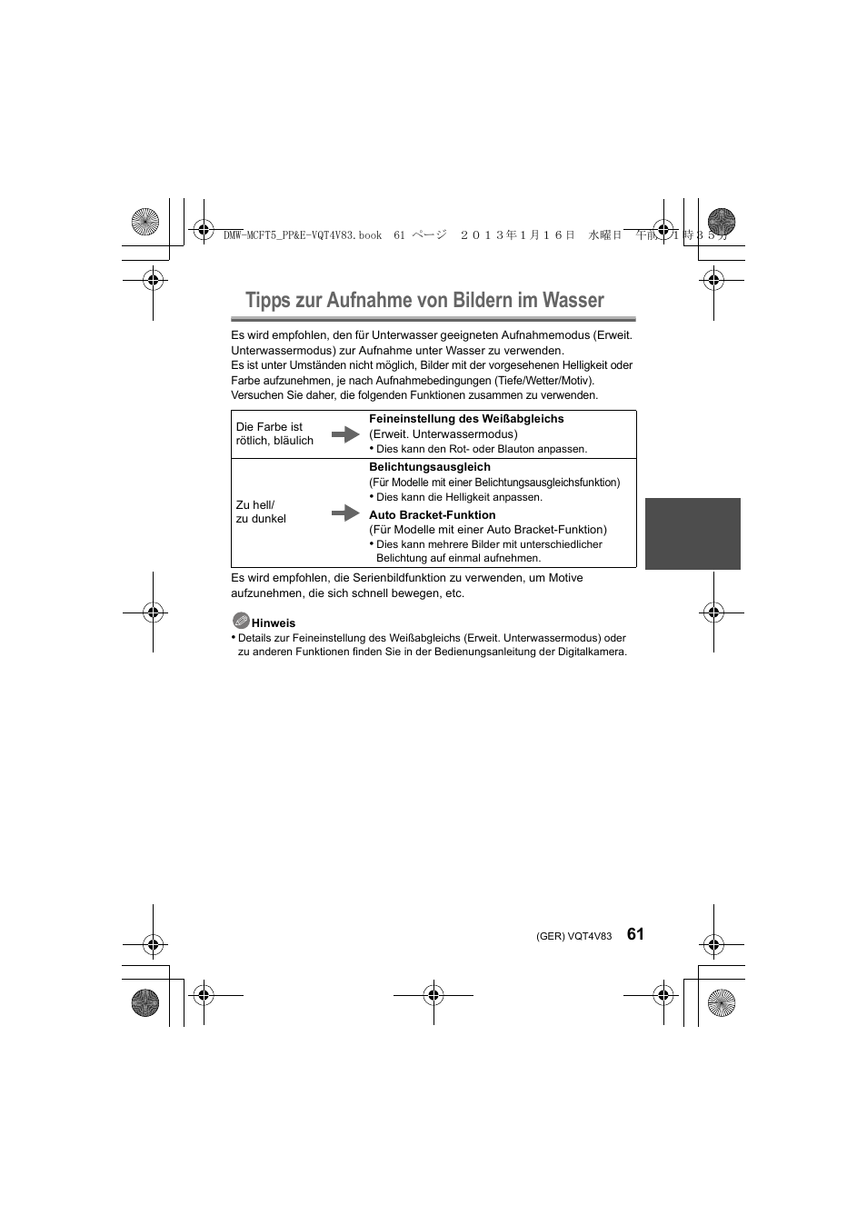 Tipps zur aufnahme von bildern im wasser | Panasonic DMWMCFT5E User Manual | Page 61 / 160
