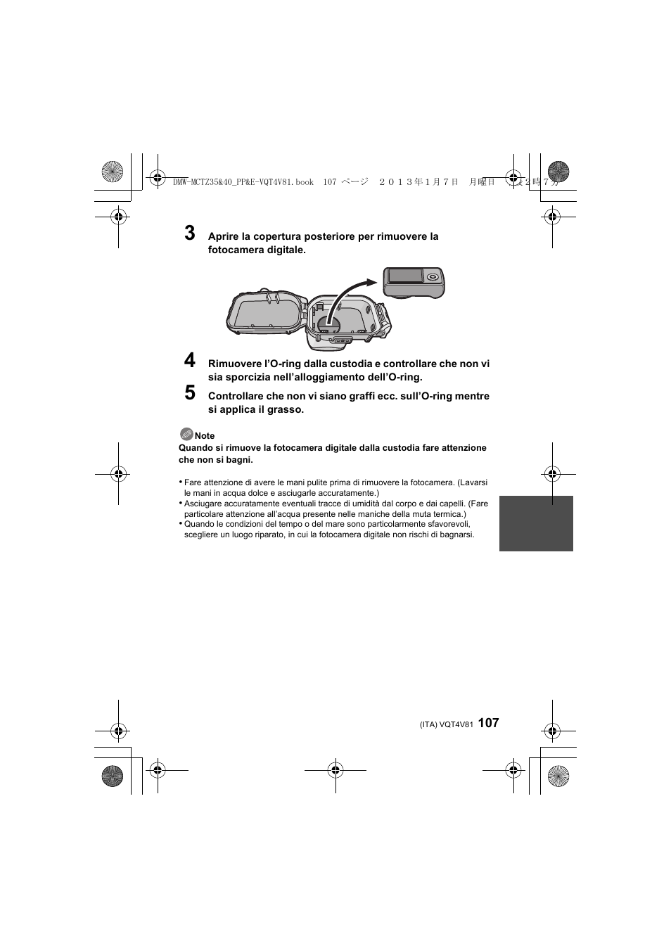 Panasonic DMWMCTZ40PP User Manual | Page 107 / 160
