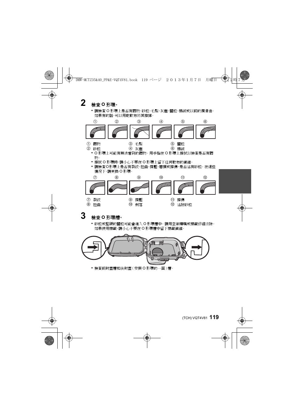 Panasonic DMWMCTZ40PP User Manual | Page 119 / 160