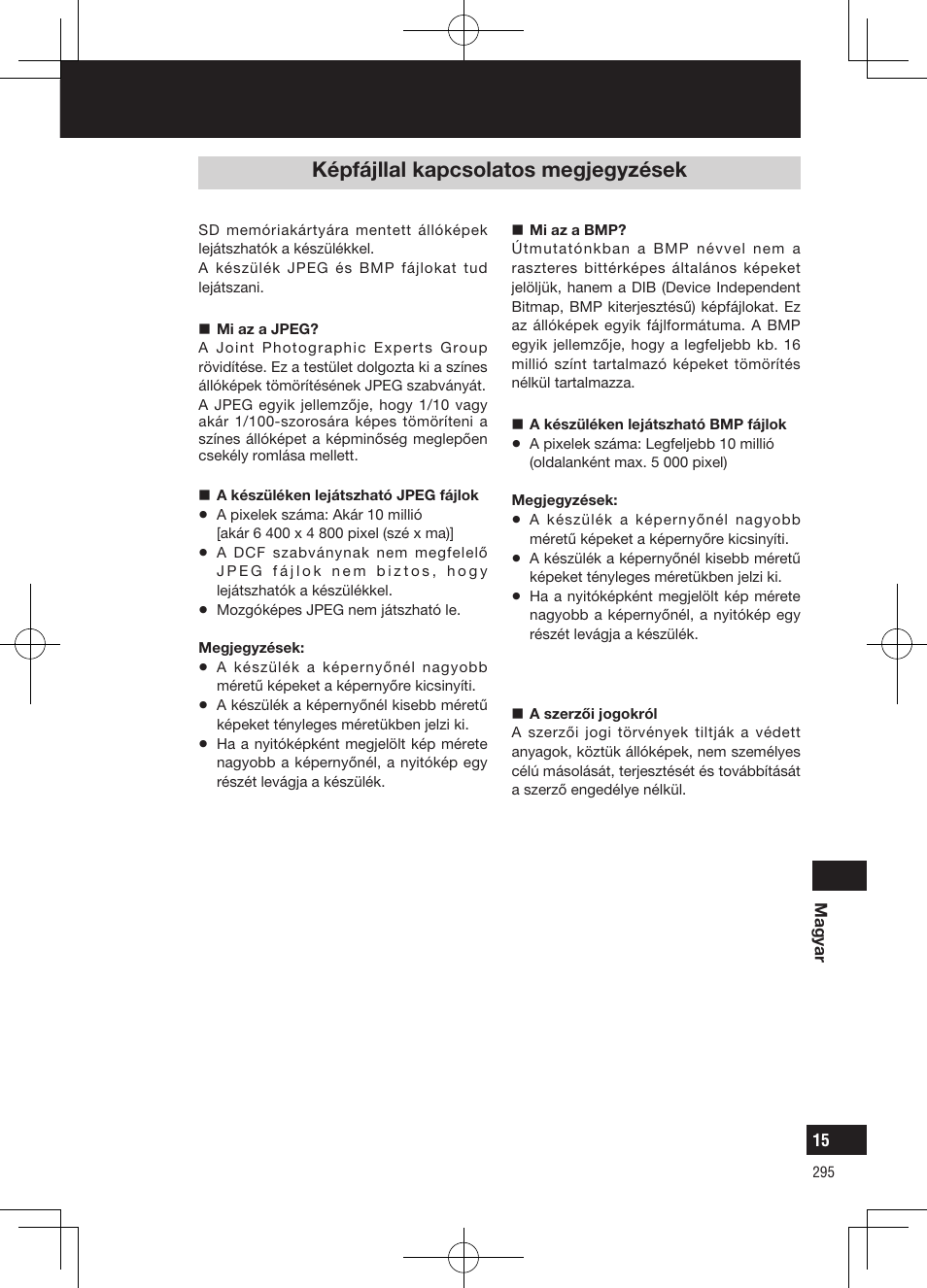 A készülék használatával kapcsolatos megjegyzések, Képfájllal kapcsolatos megjegyzések | Panasonic CNGP50N User Manual | Page 295 / 336