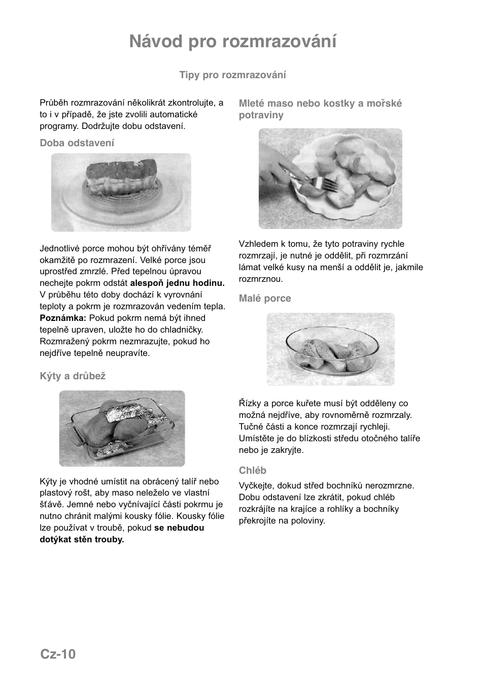 Návod pro rozmrazování, Cz-10 | Panasonic NNGD369MEPG User Manual | Page 272 / 303