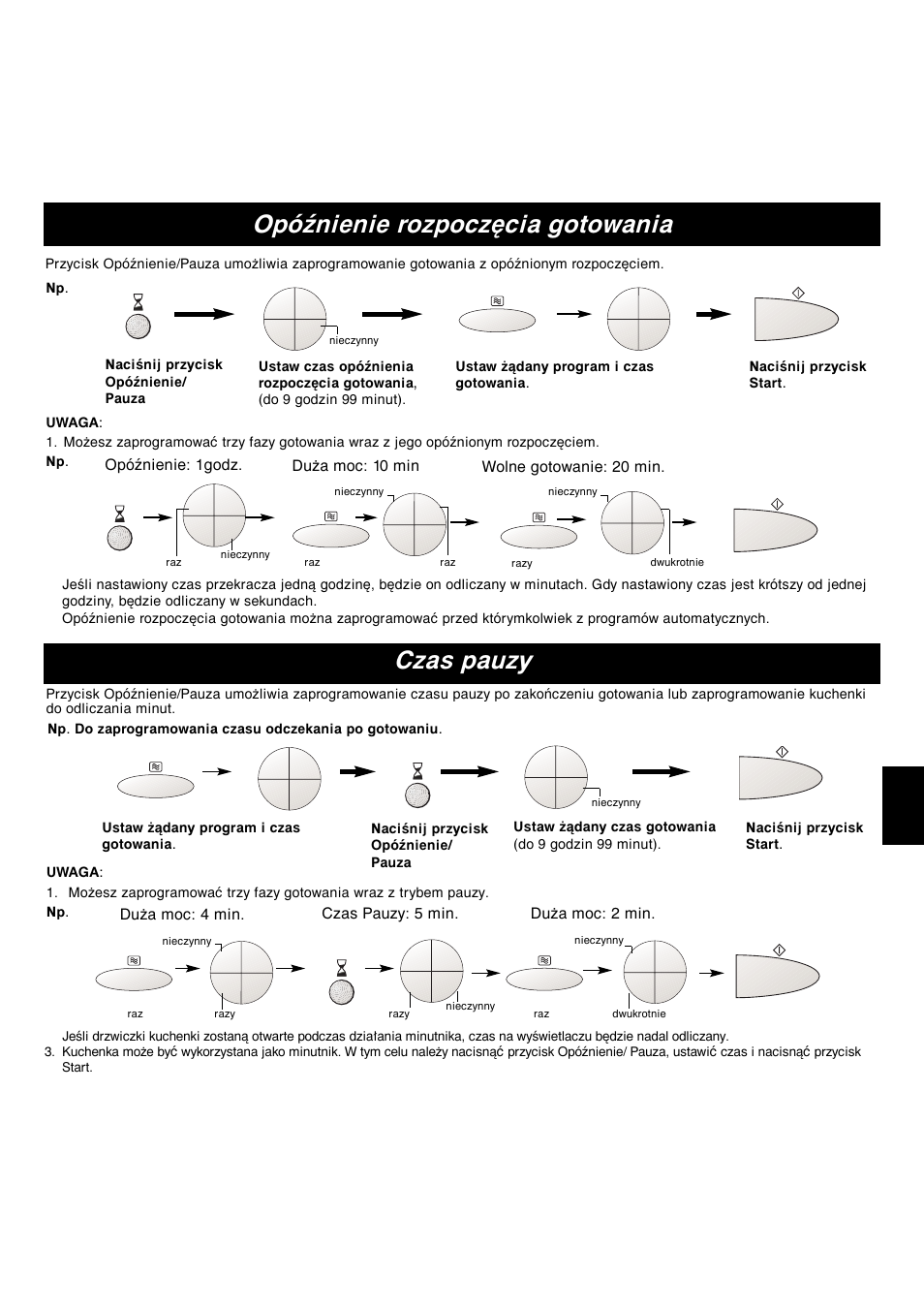 Opóźnienie rozpoczęcia gotowania, Czas pauzy, Pl-19 | Naciśnij przycisk opóźnienie/ pauza, Ustaw żądany program i czas gotowania, Naciśnij przycisk start. np | Panasonic NNA813 User Manual | Page 125 / 128