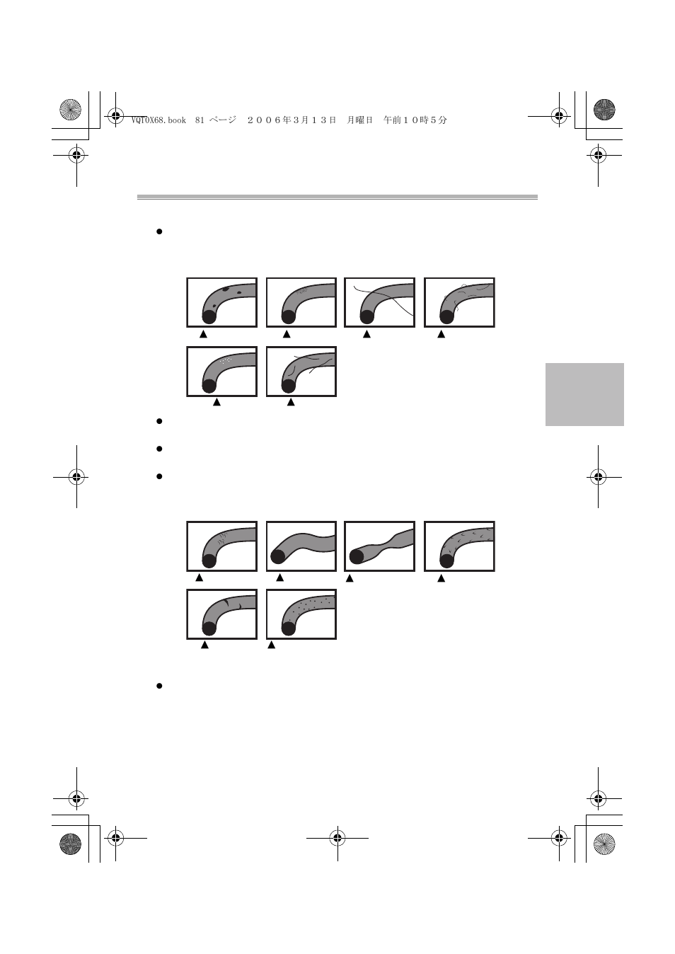 Panasonic DMWMCTZ1E User Manual | Page 81 / 120