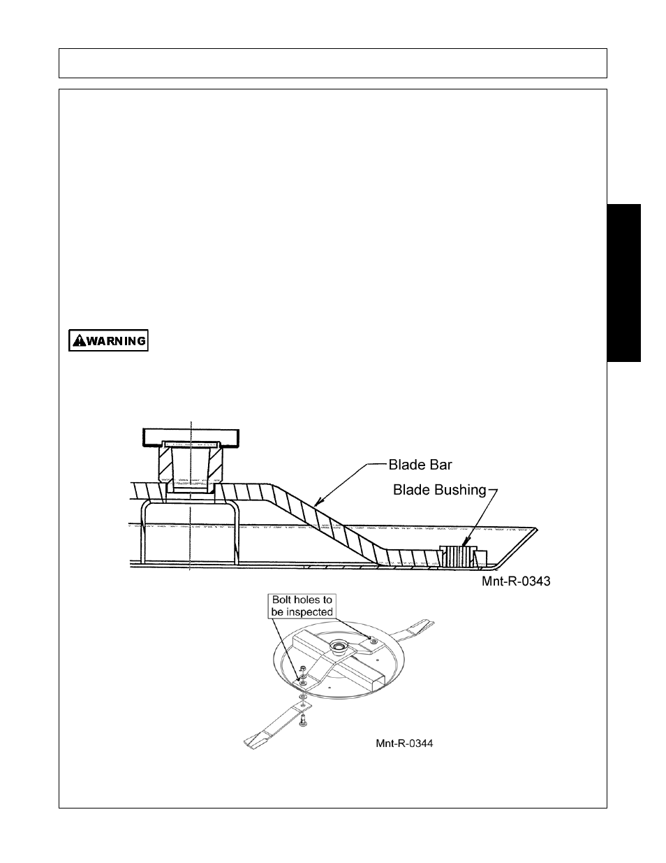 Blade carrier removal, Blade carrier inspection, Maintenance | Alamo Eagle 20 User Manual | Page 165 / 186