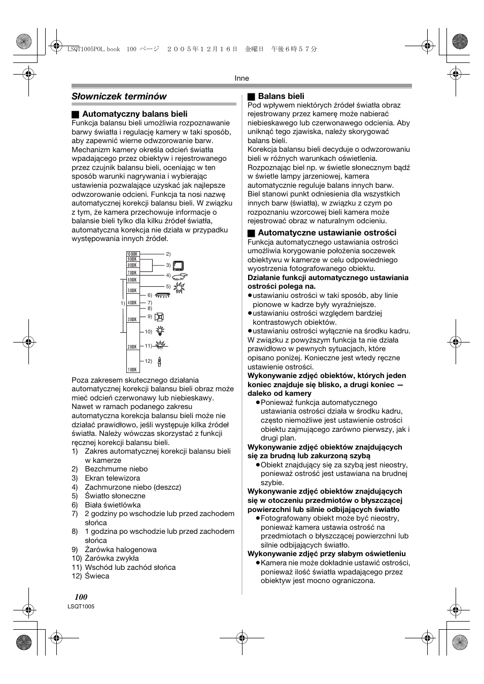 Słowniczek terminów | Panasonic NVGS37EP User Manual | Page 100 / 204