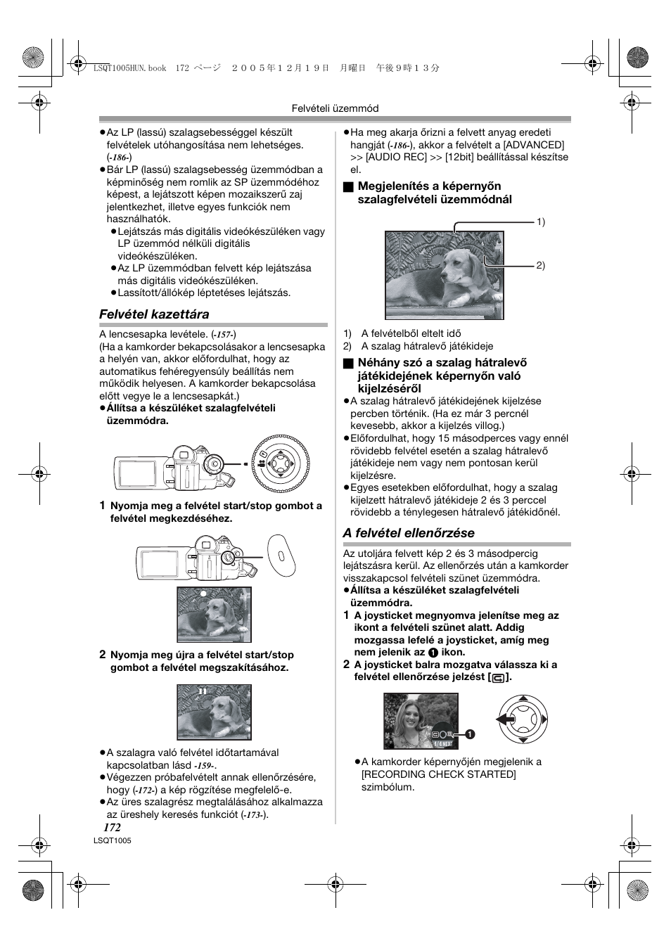 Felvétel kazettára, A felvétel ellenőrzése | Panasonic NVGS37EP User Manual | Page 172 / 204