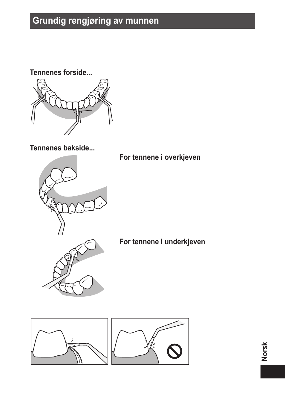 Grundigrengjøringavmunnen | Panasonic EWDJ10 User Manual | Page 111 / 216