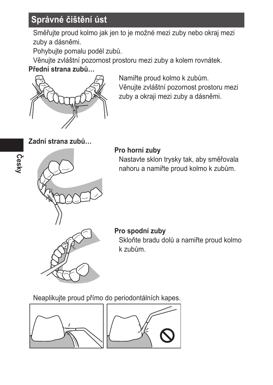 Správnéčištěníúst | Panasonic EWDJ10 User Manual | Page 160 / 216