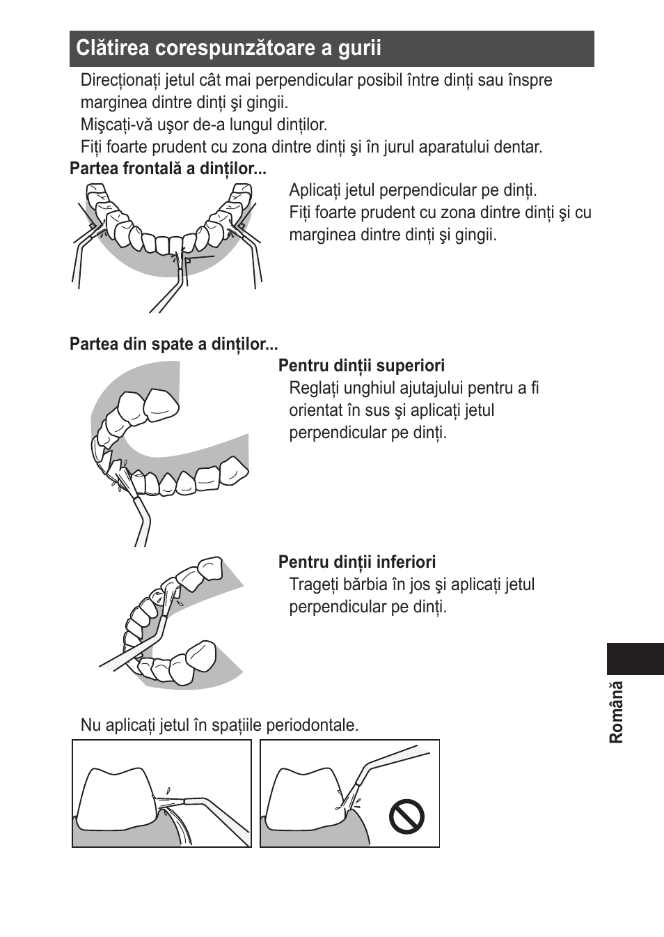 Clătireacorespunzătoareagurii | Panasonic EWDJ10 User Manual | Page 197 / 216