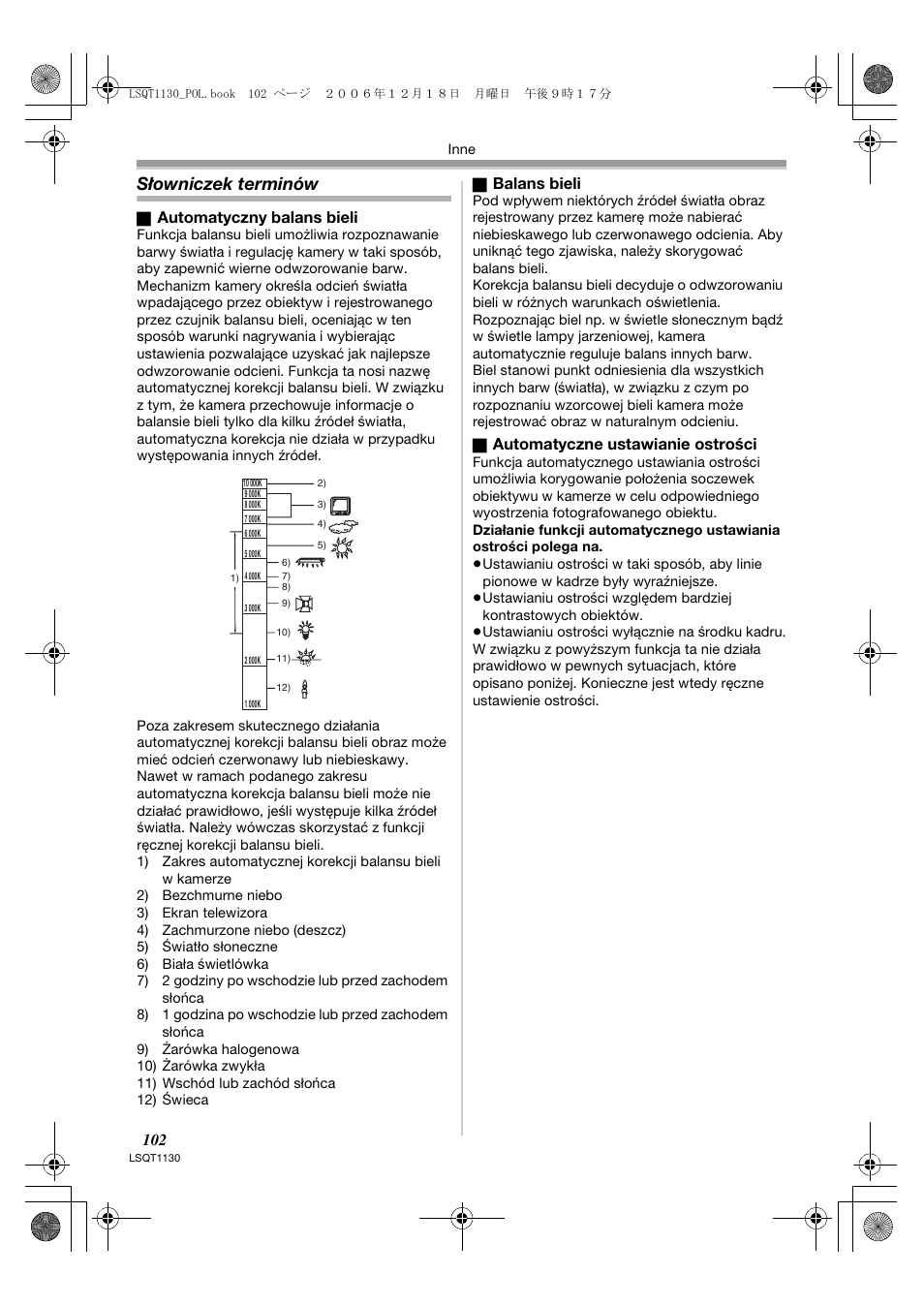 Słowniczek terminów | Panasonic NVGS80EP User Manual | Page 102 / 208