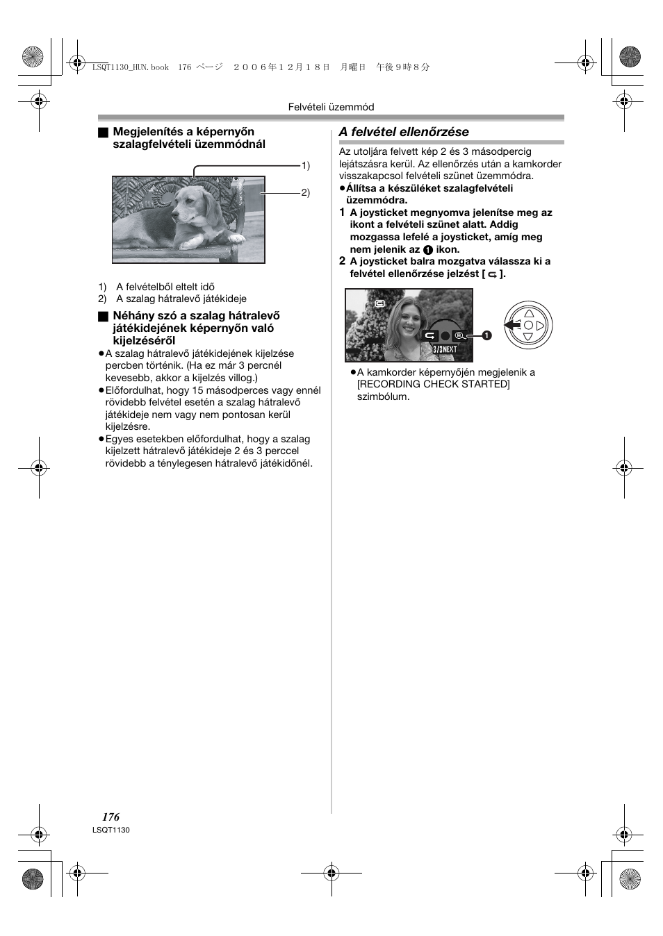 A felvétel ellenőrzése | Panasonic NVGS80EP User Manual | Page 176 / 208