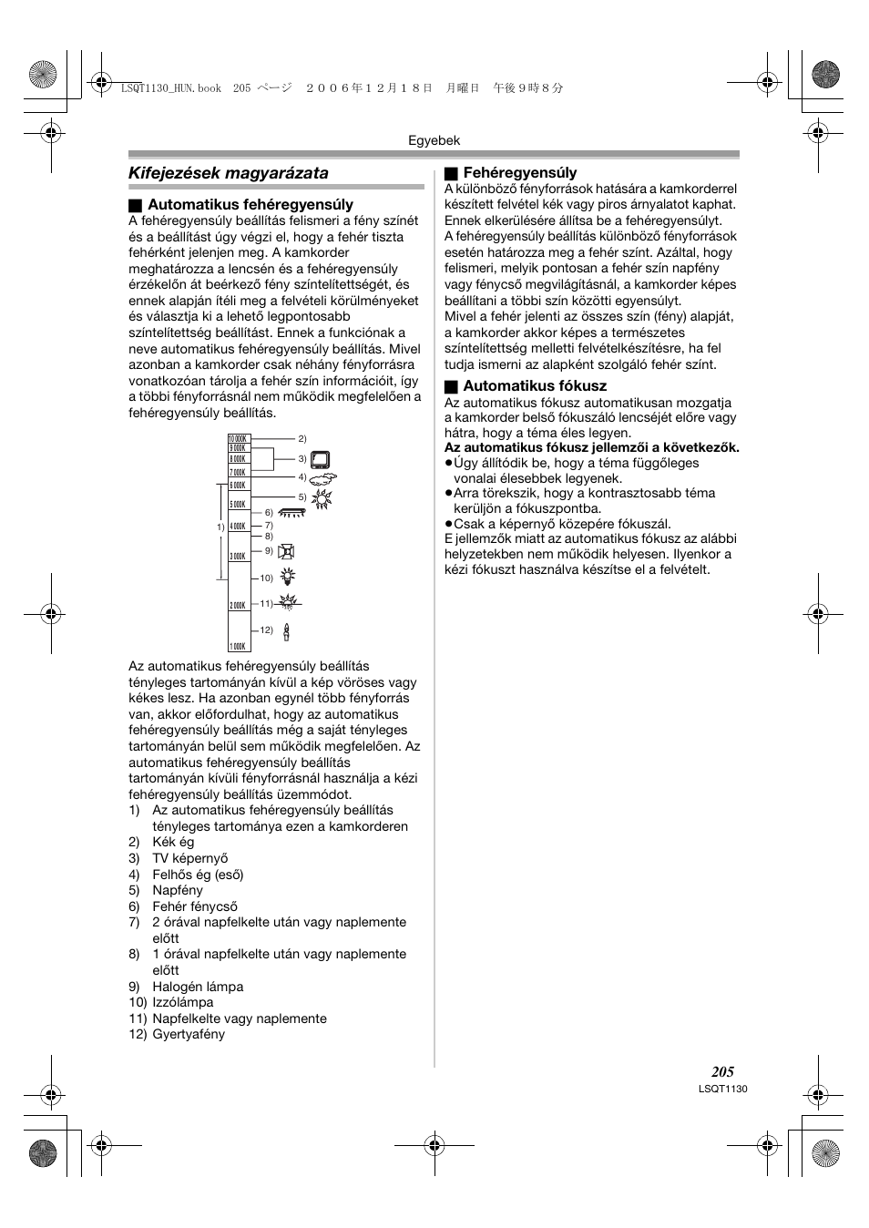 Kifejezések magyarázata | Panasonic NVGS80EP User Manual | Page 205 / 208