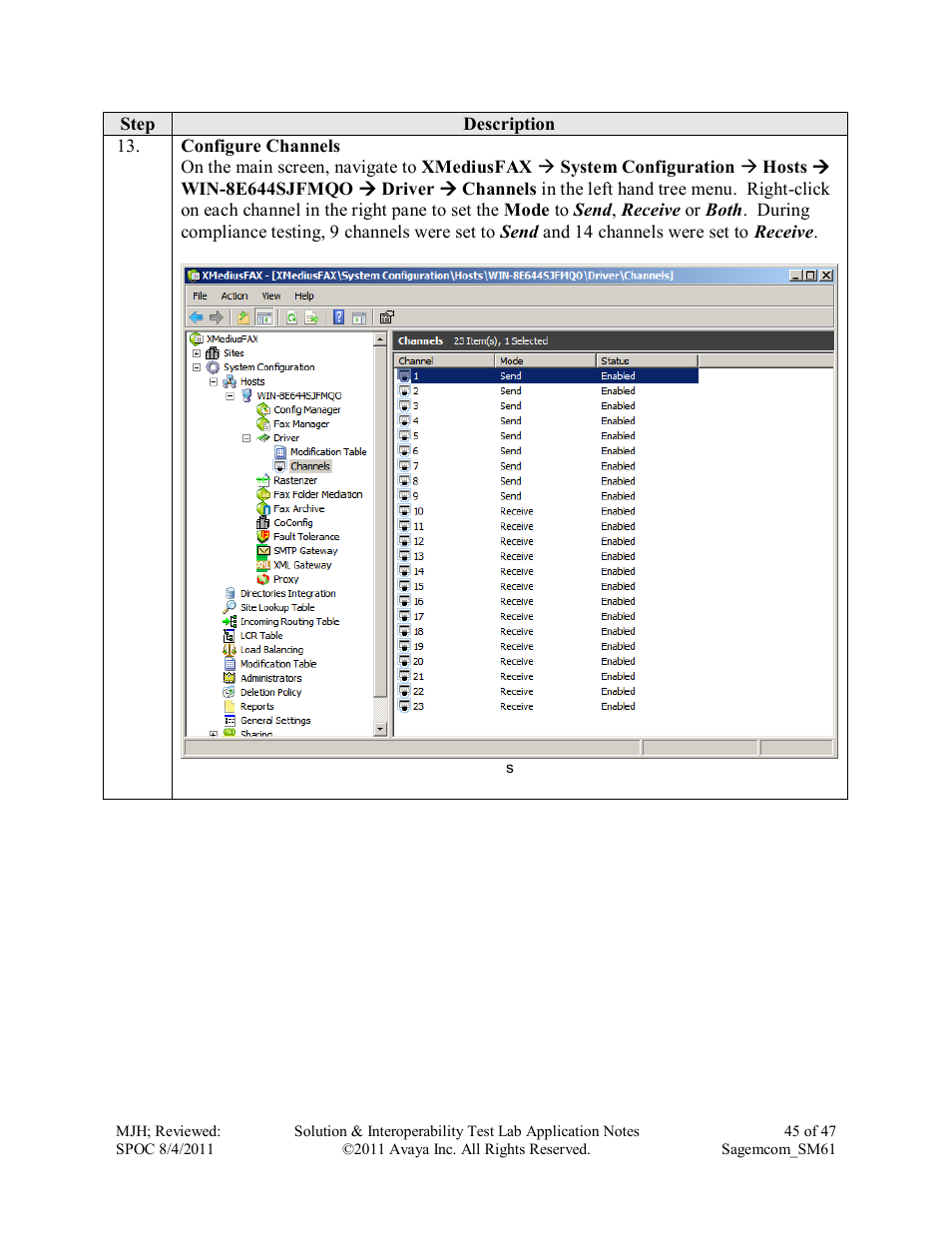 Avaya SM61 User Manual | Page 45 / 47