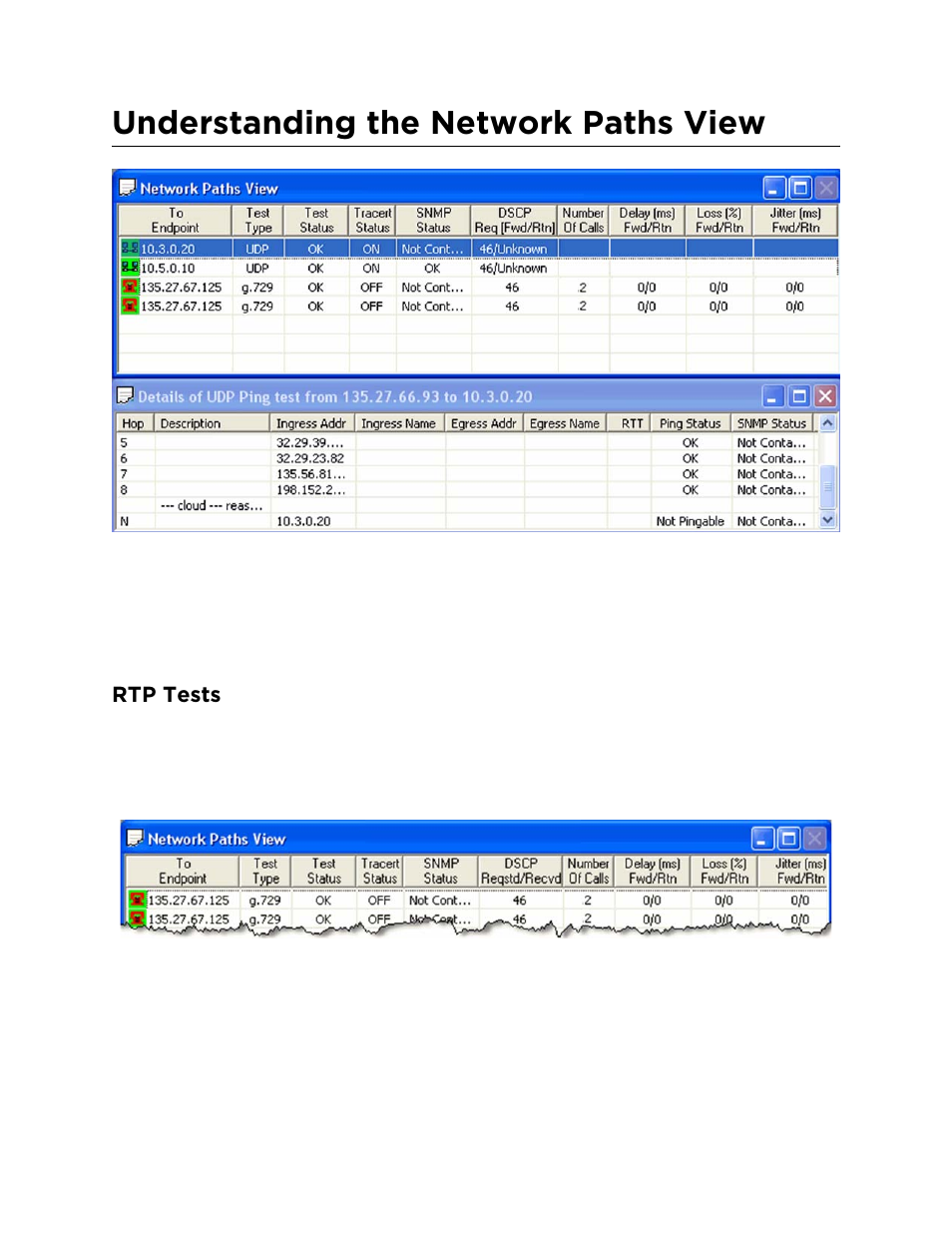 Rtp tests, Understanding the network paths view | Avaya ExpertNet Lite Assessment Tool ELAT User Manual | Page 22 / 47