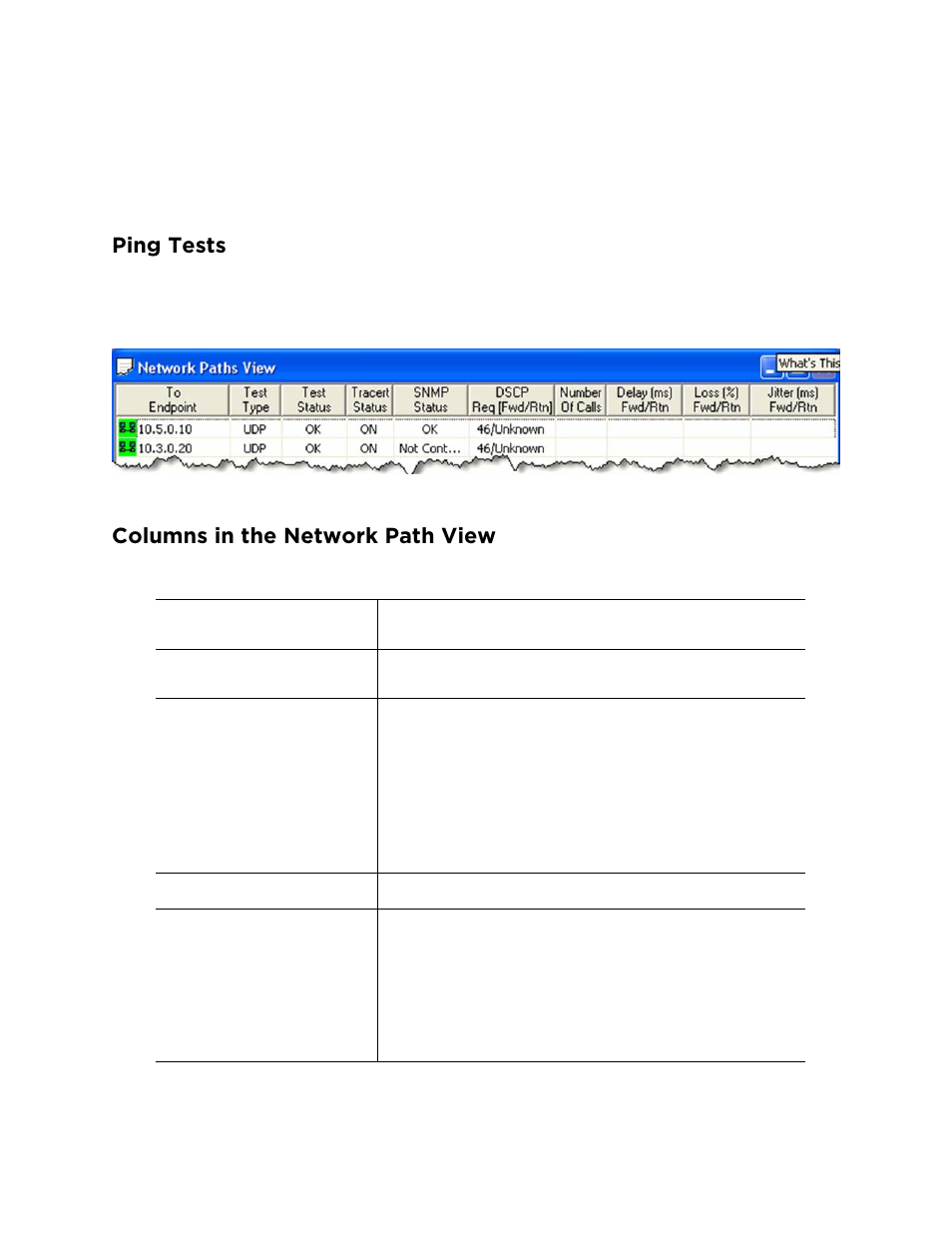 Ping tests, Columns in the network path view | Avaya ExpertNet Lite Assessment Tool ELAT User Manual | Page 23 / 47