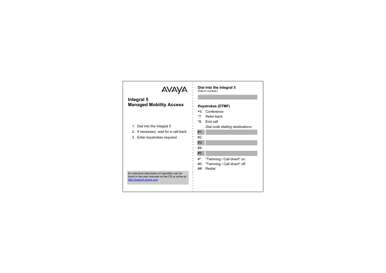 Integral 5 managed mobility access | Avaya T3 (IP) Comfort User Manual | Page 171 / 172