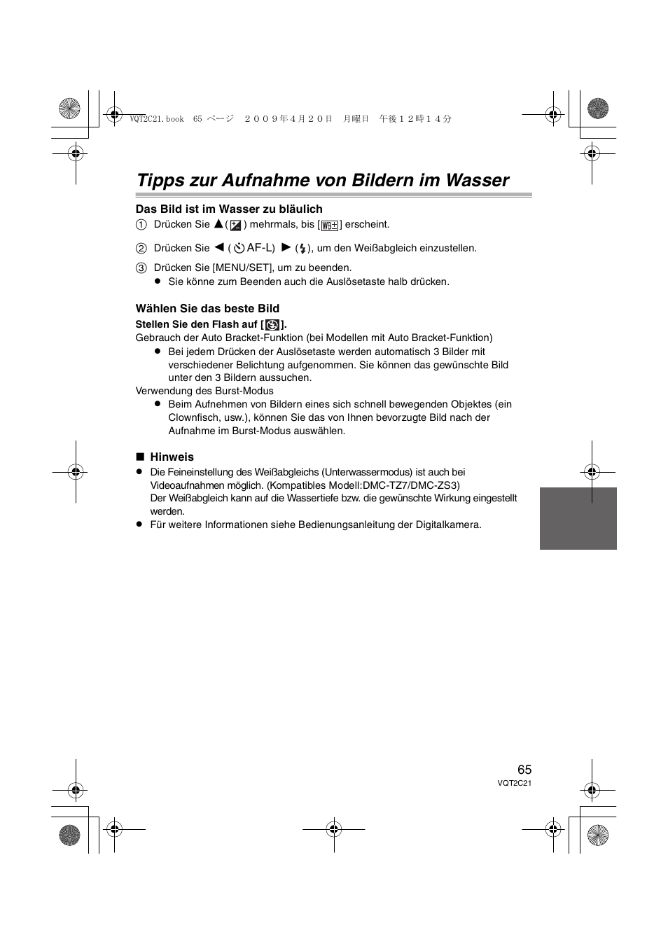 Tipps zur aufnahme von bildern im wasser | Panasonic DMWMCTZ7 User Manual | Page 65 / 184