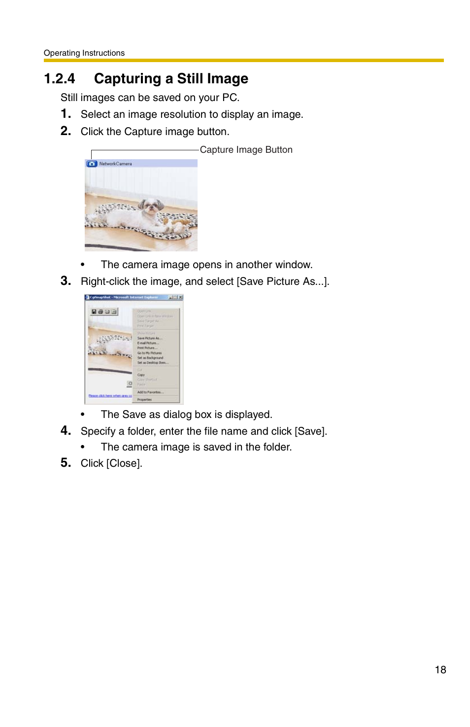 4 capturing a still image | Panasonic BL-C1A User Manual | Page 18 / 141