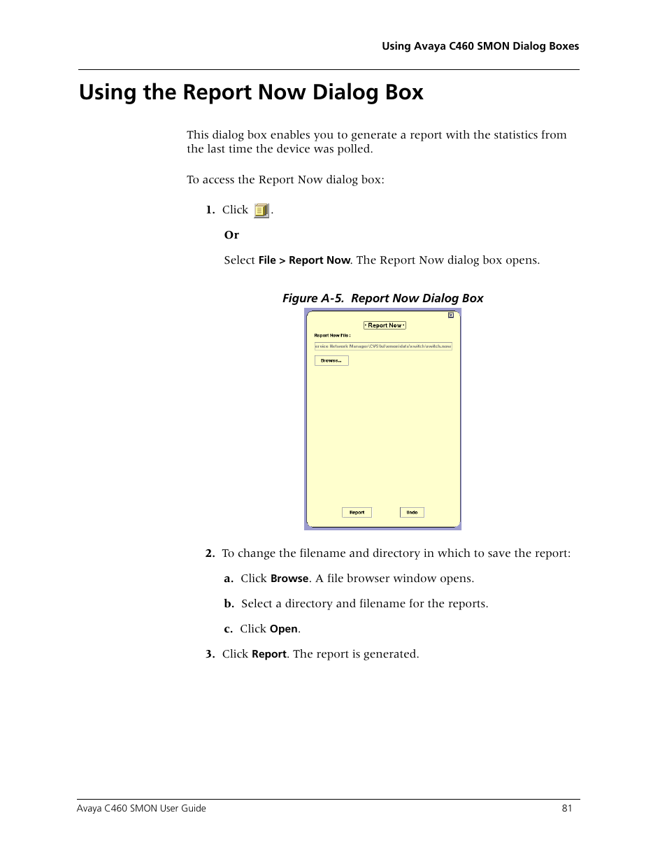 Using the report now dialog box, Using the, Using the report now | Avaya C460 SMON User Manual | Page 89 / 102