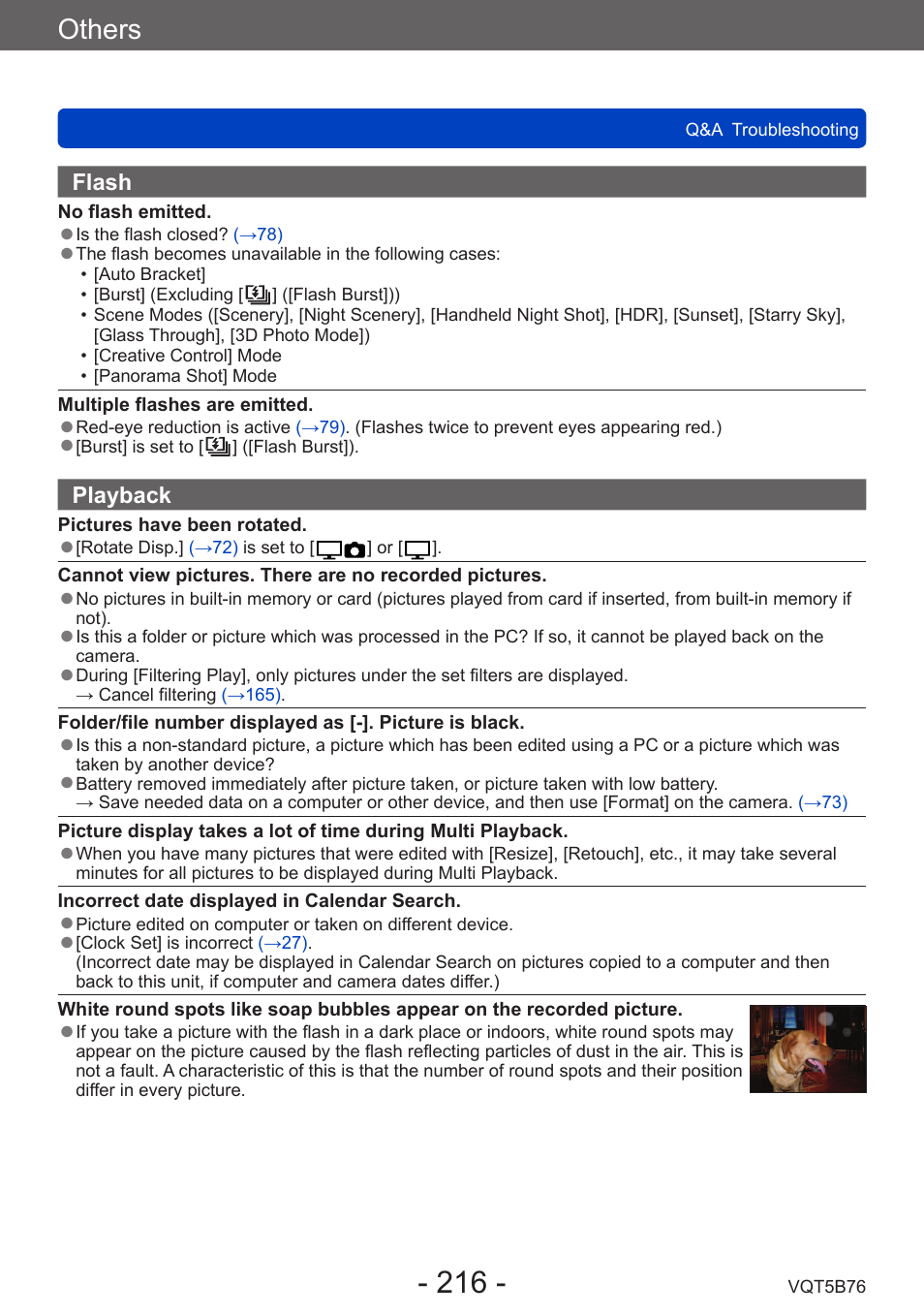 Others | Panasonic DMC-FZ70K User Manual | Page 216 / 226