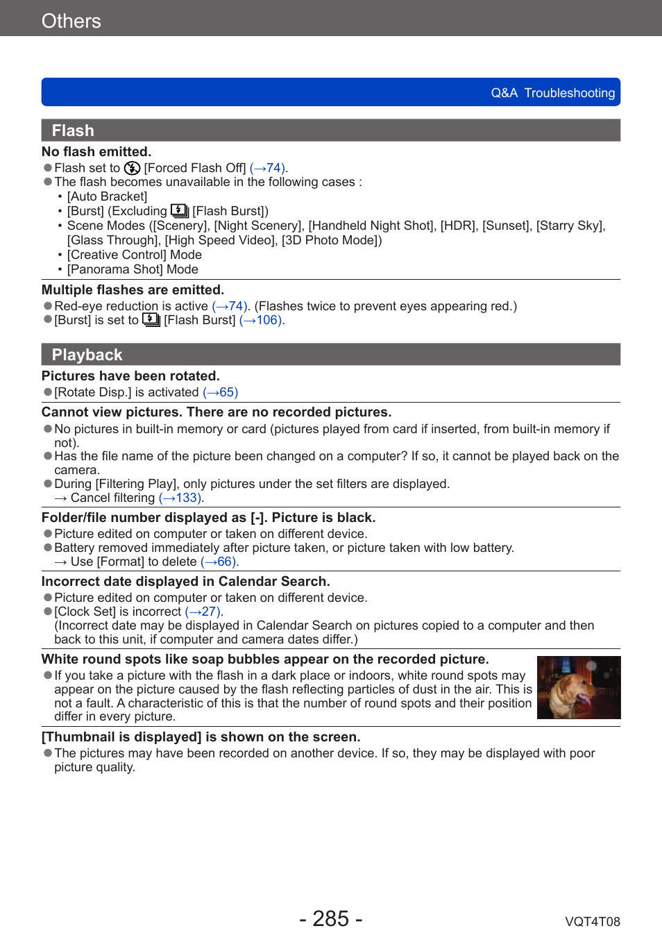 Others | Panasonic DMC-ZS30K User Manual | Page 285 / 314