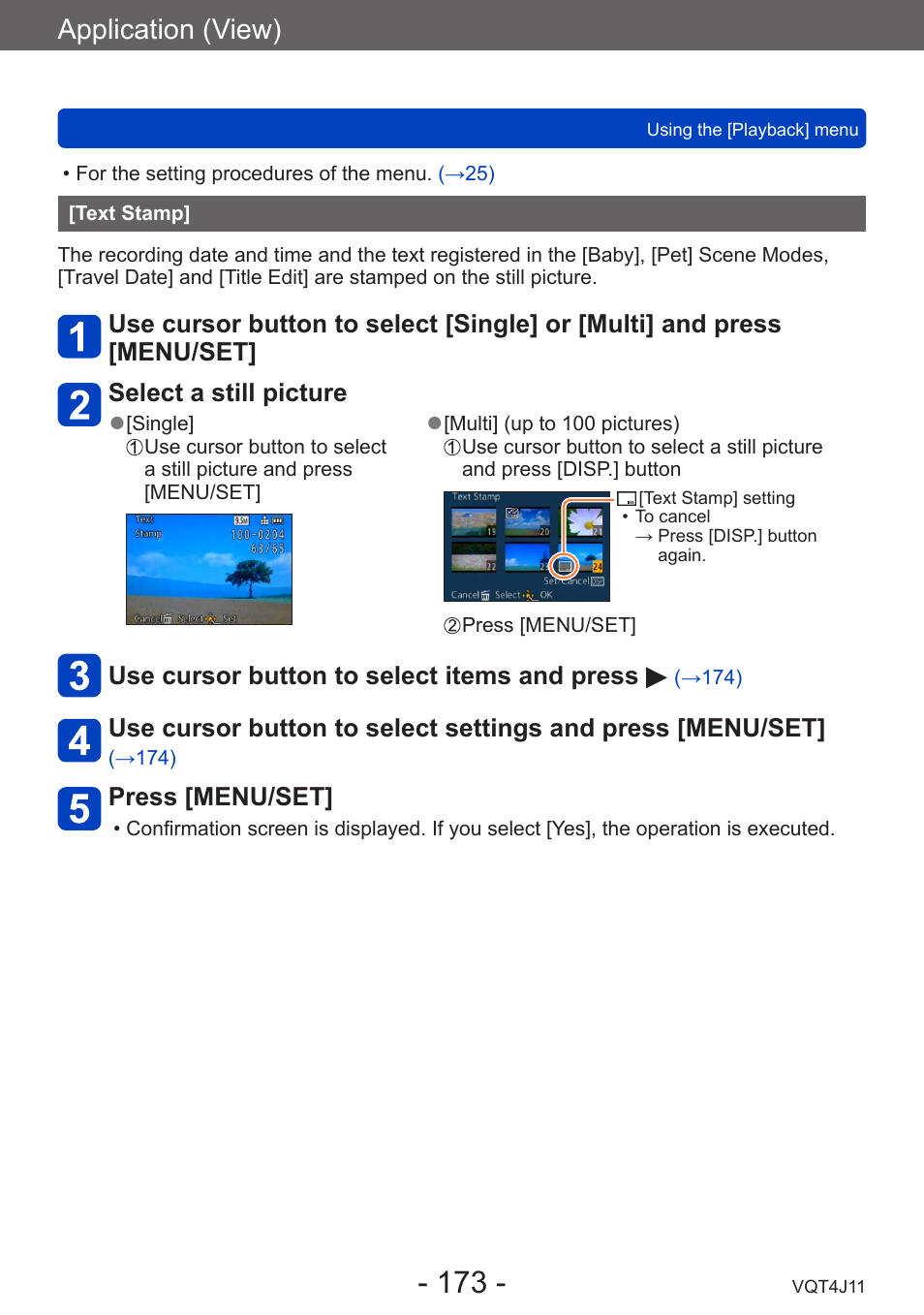 Text stamp, Application (view) | Panasonic DMC-LX7K User Manual | Page 173 / 226