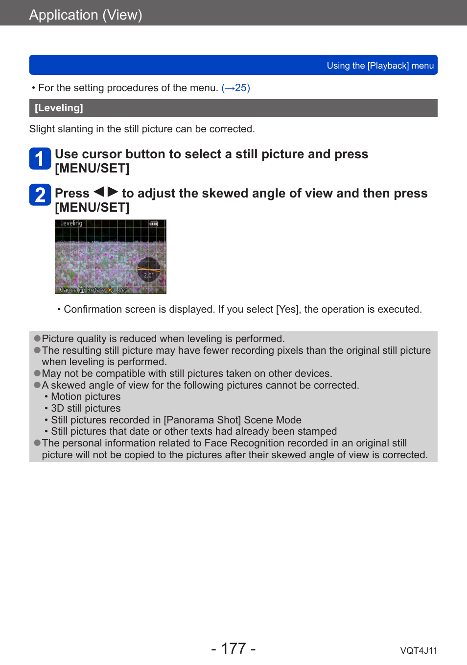 Leveling, Application (view) | Panasonic DMC-LX7K User Manual | Page 177 / 226