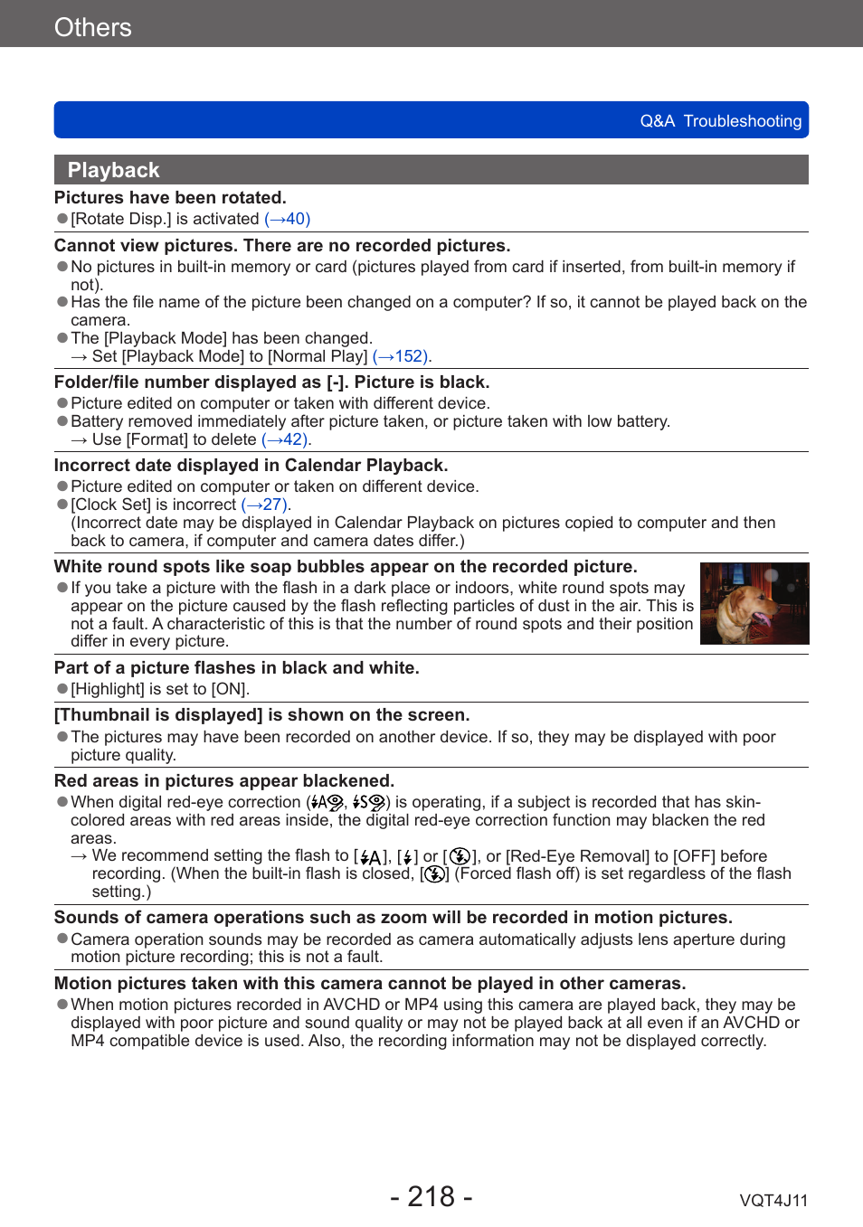 Others | Panasonic DMC-LX7K User Manual | Page 218 / 226